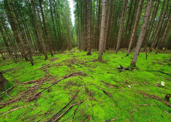 Holzhaus Am Mit Panoramablick * Trausnitz